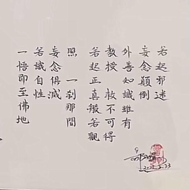 陀宝的祥瑞