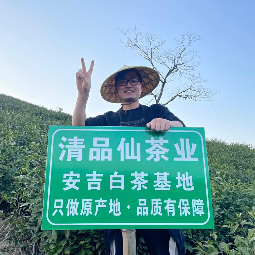 清品仙茶业