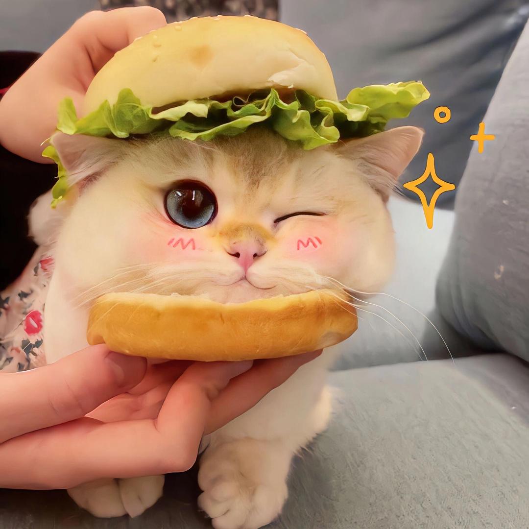小香猪