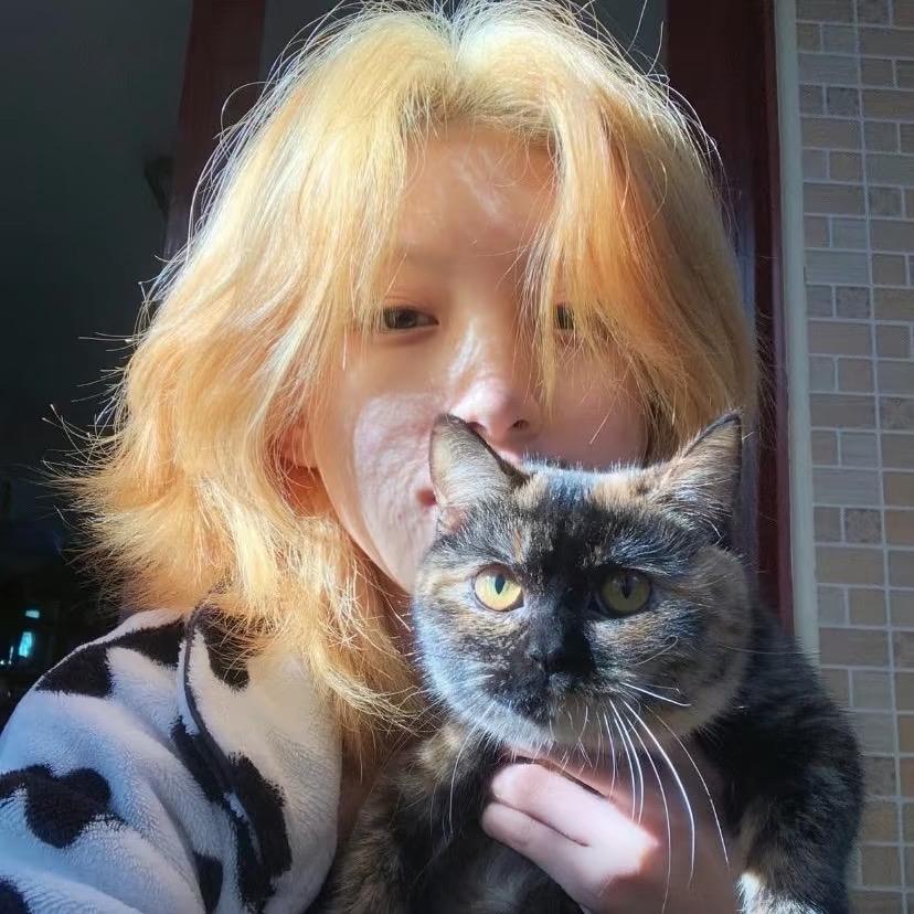 汪汪一周