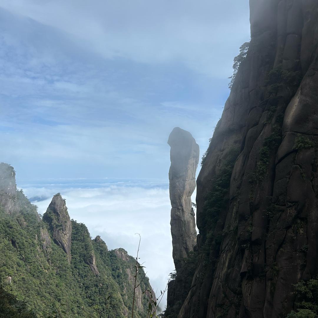 醒悟（易经学会）