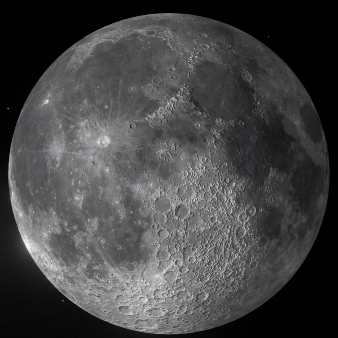 羊羊羊🐑🐑🐑