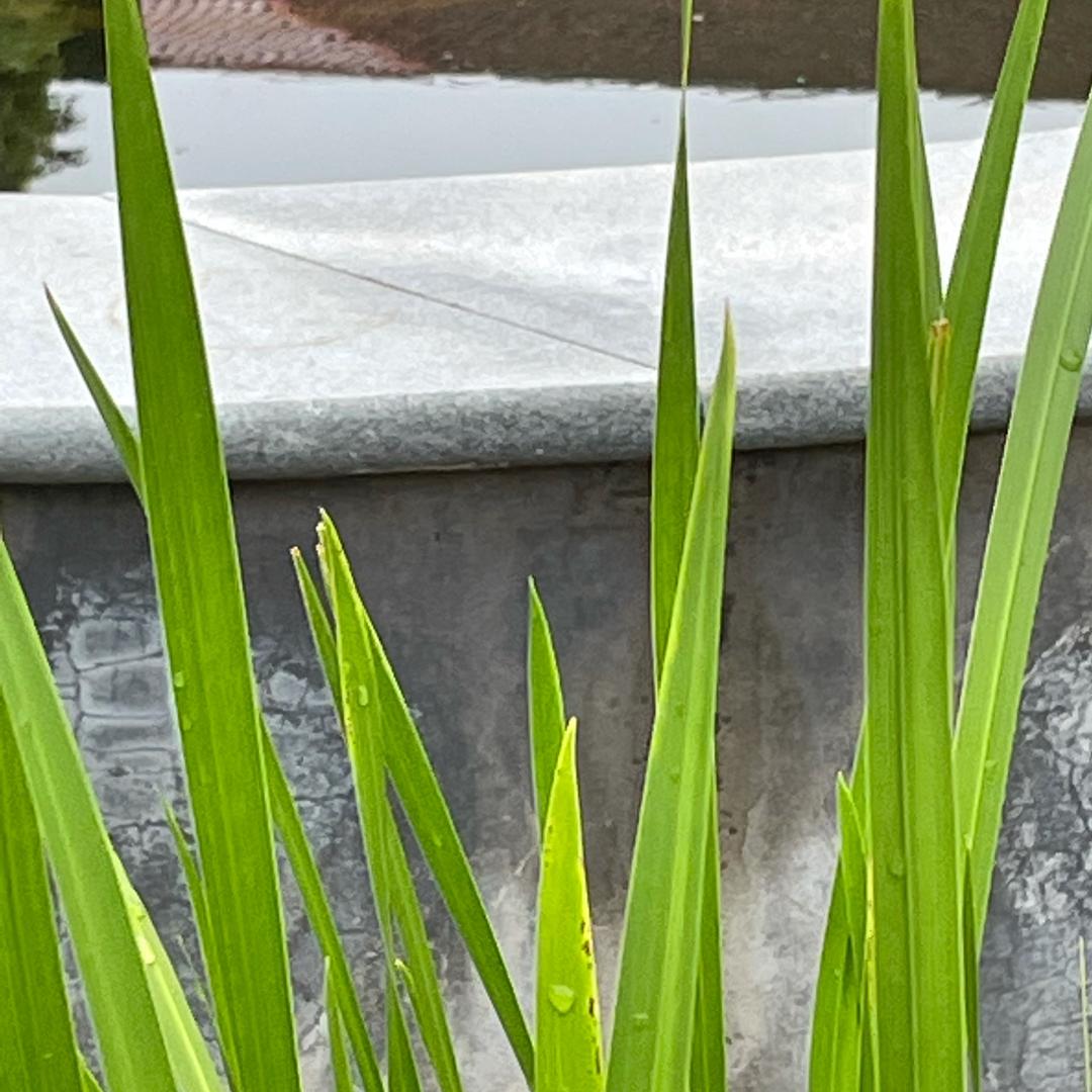 靓点小吃煎饼店官方号