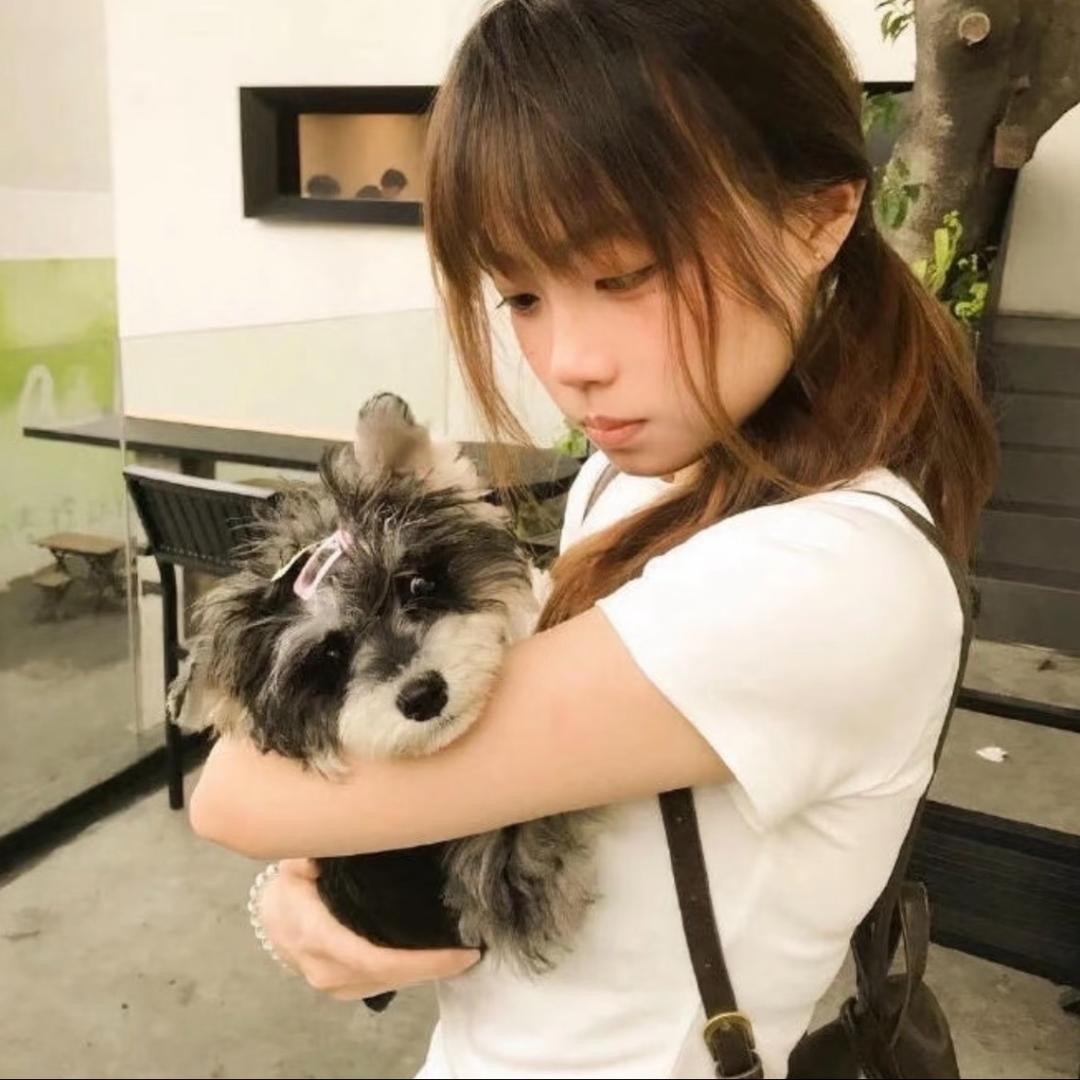 悲伤板栗糕