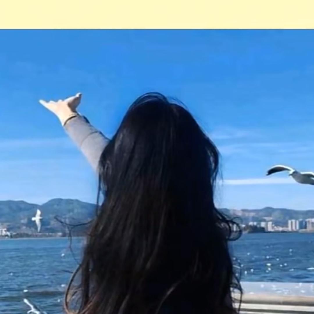 慧好的