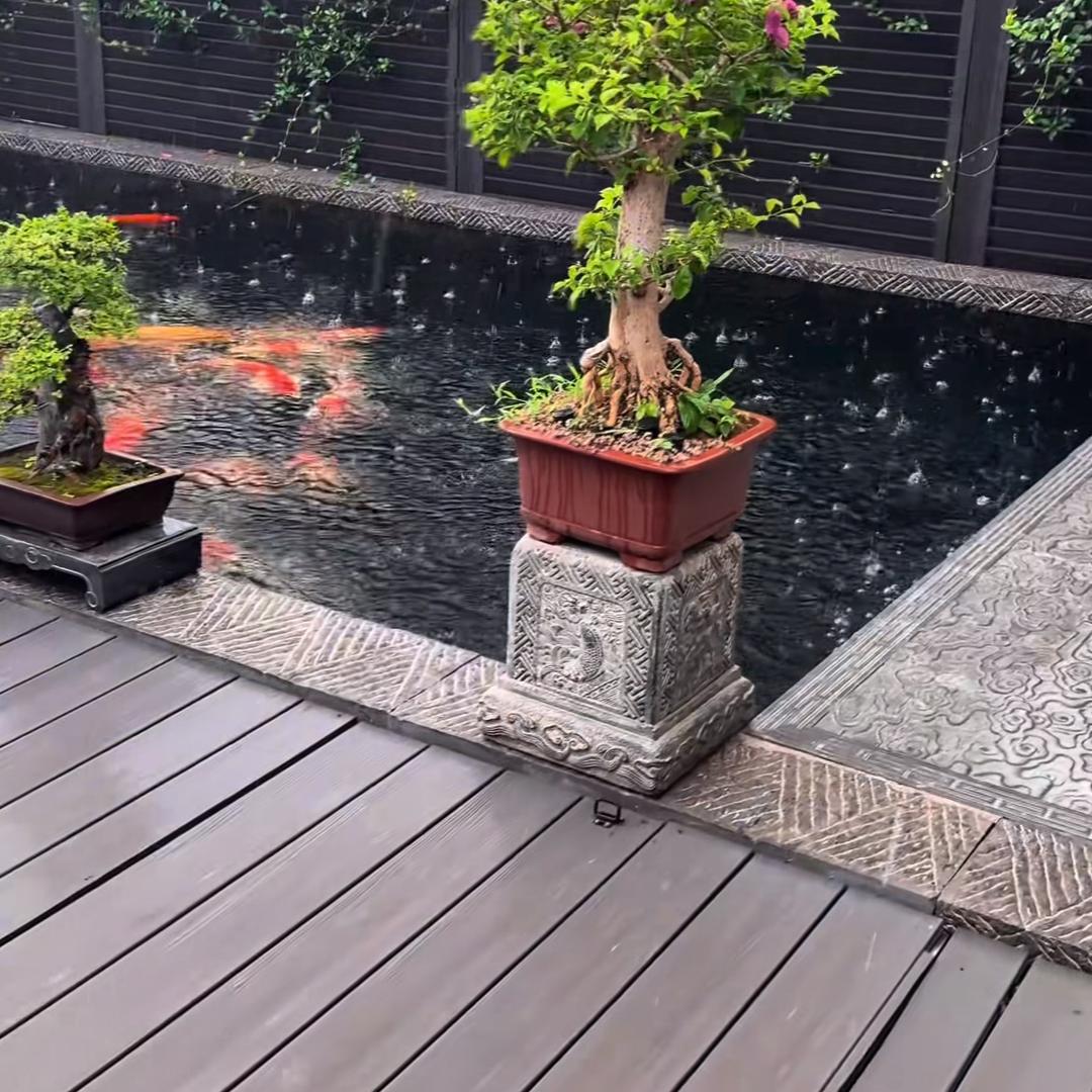 道滿
