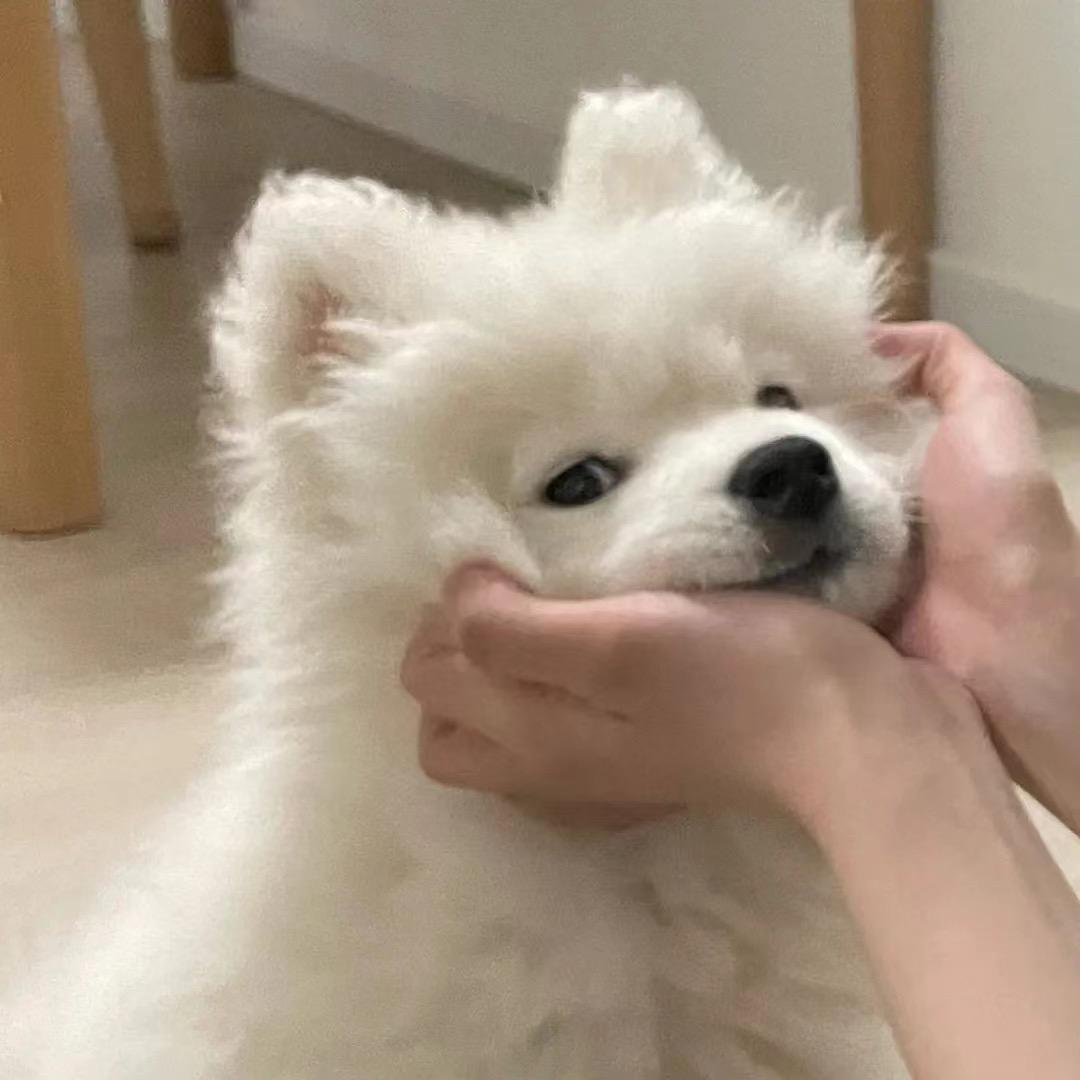 纯亦店铺