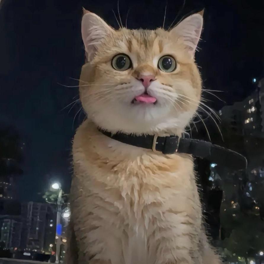 🐯