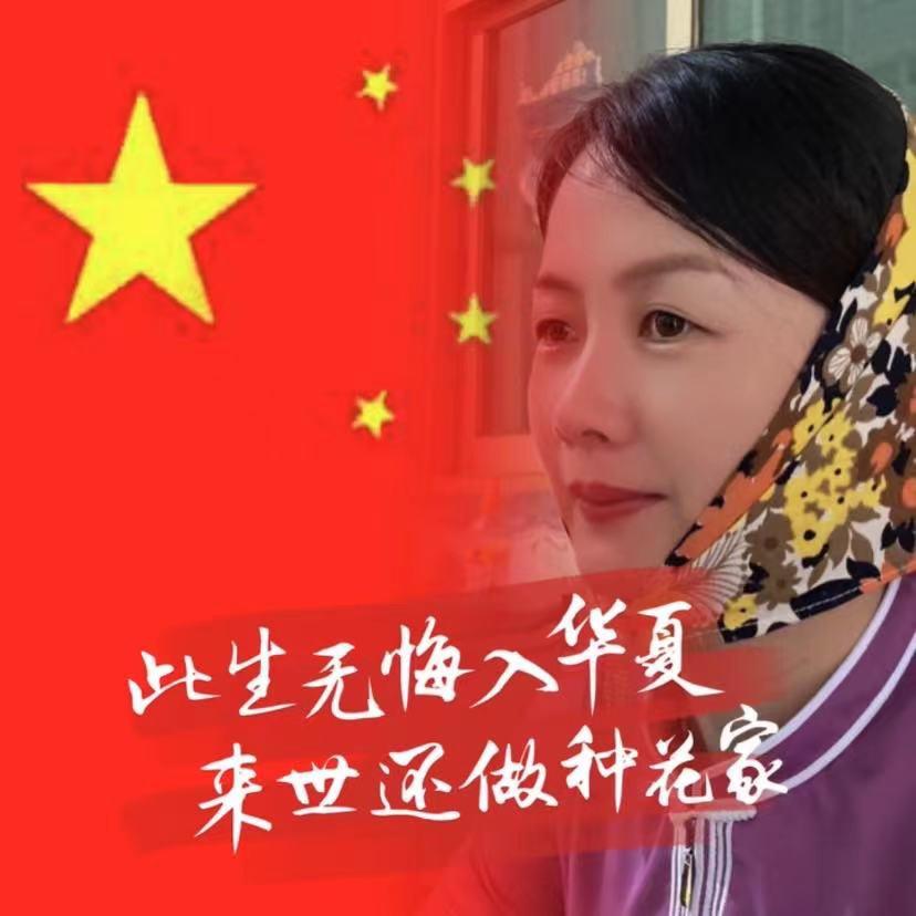 杨小渔