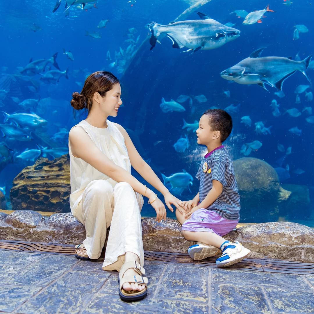 养了一只小朱(带娃版)