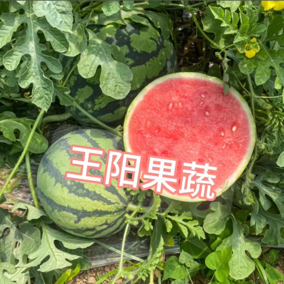 王阳产地麒麟西瓜(全国代发代收)
