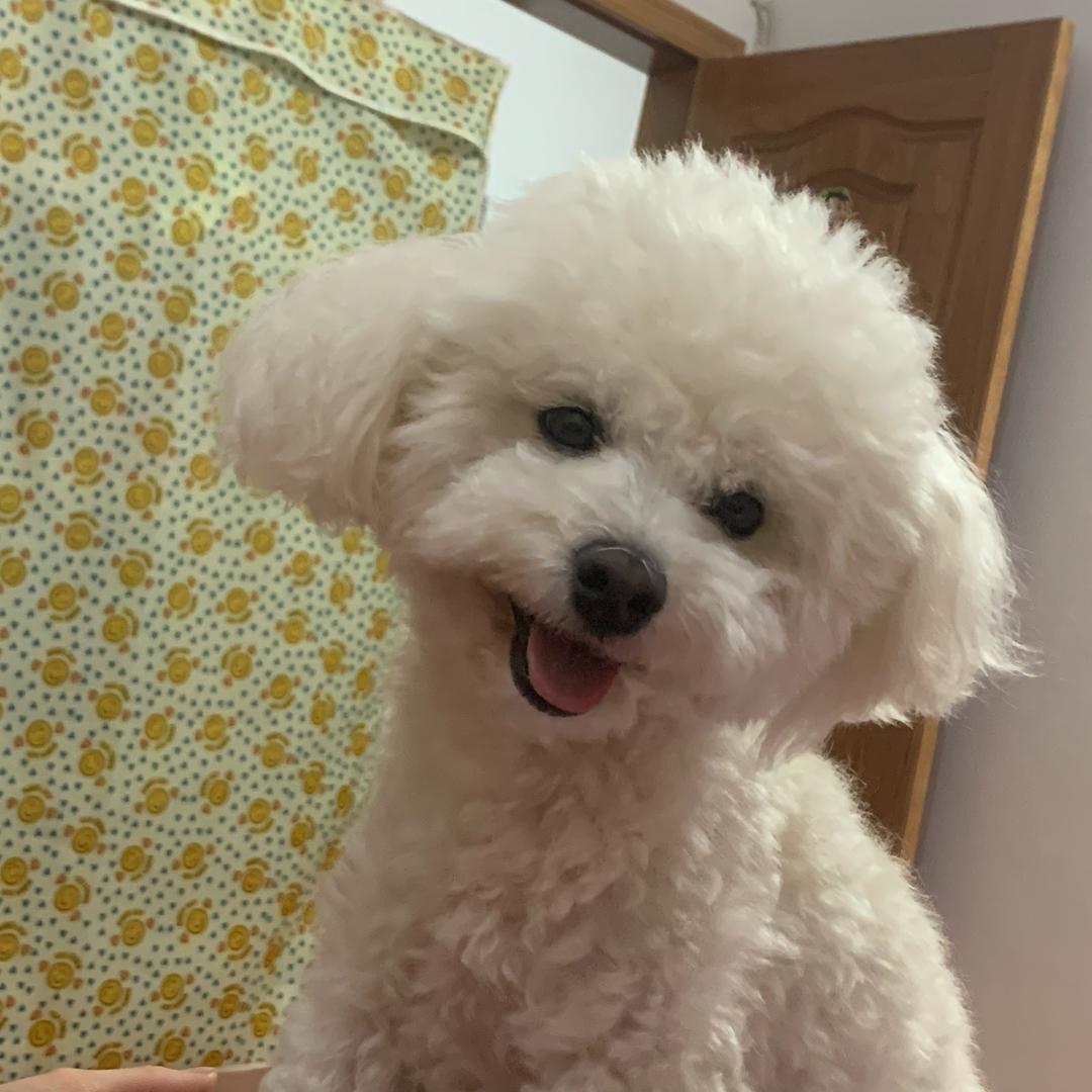 小凯
