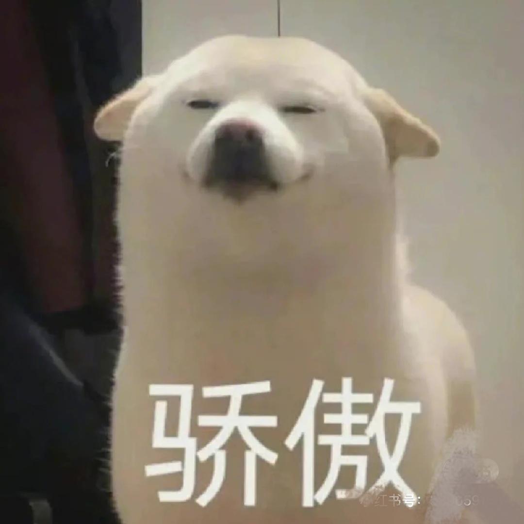 黑起起