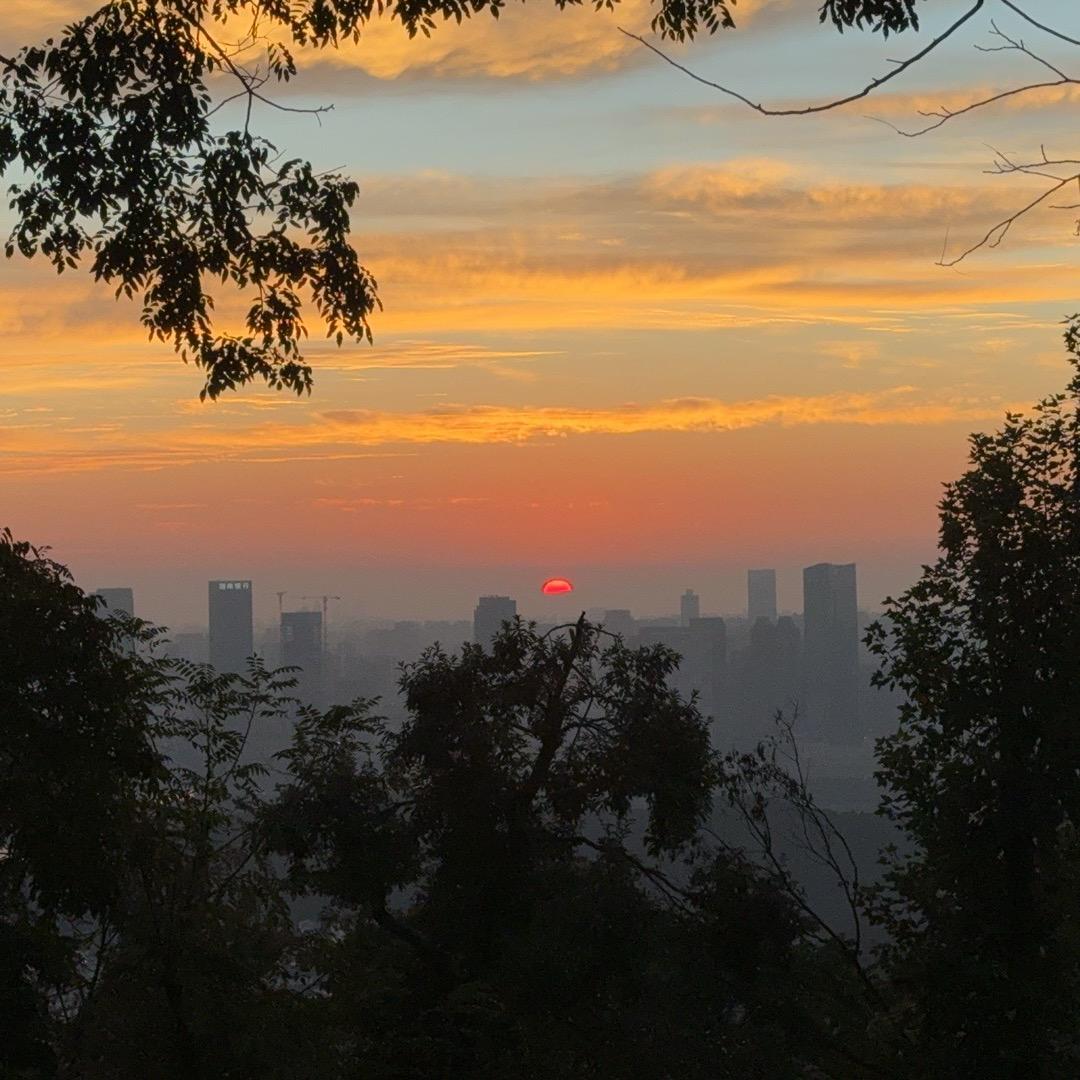 杨大可