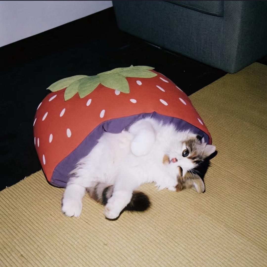 iiiiii