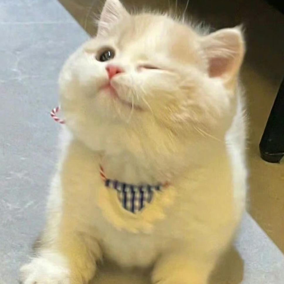 咸蛋黄炒肉松
