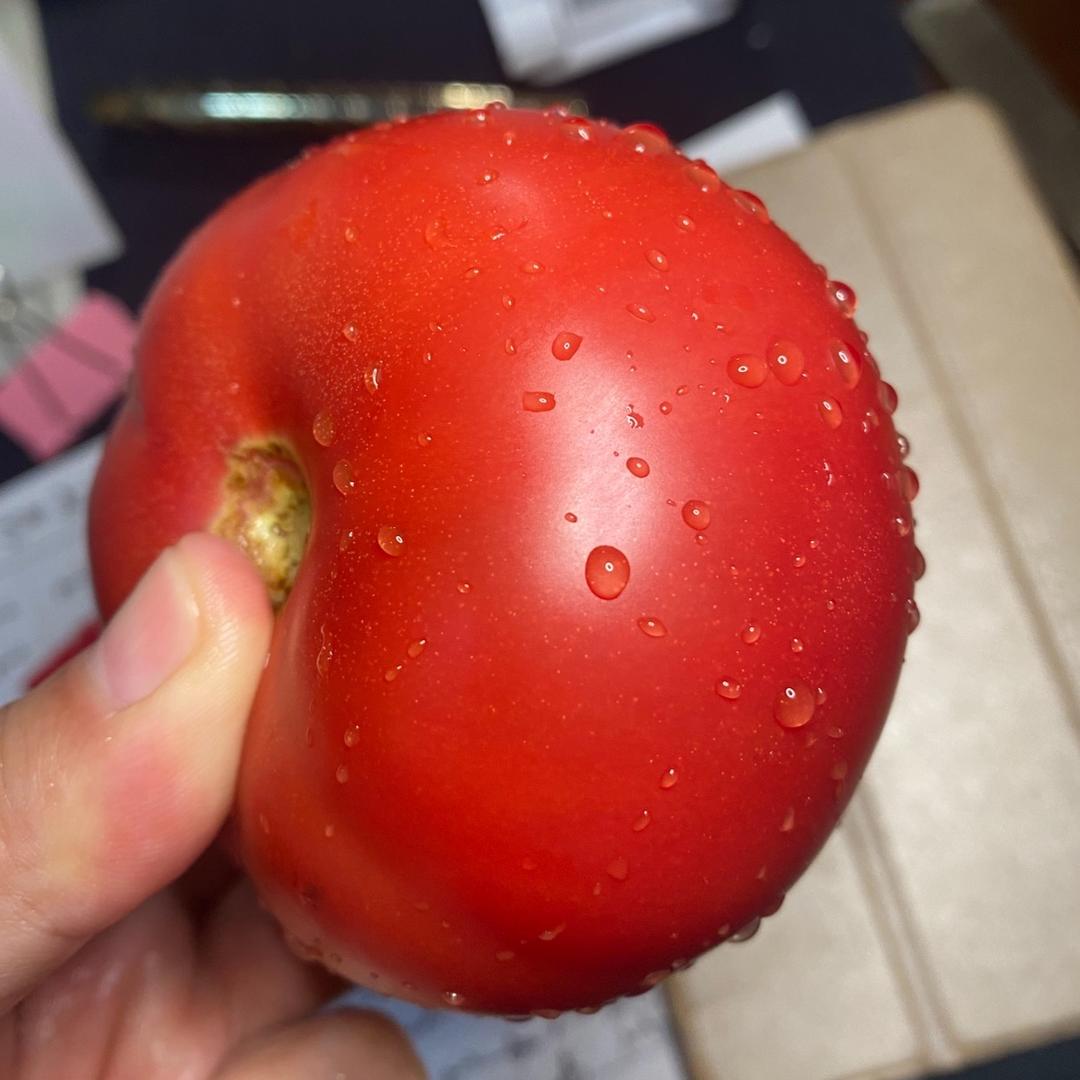 軟硬皆草