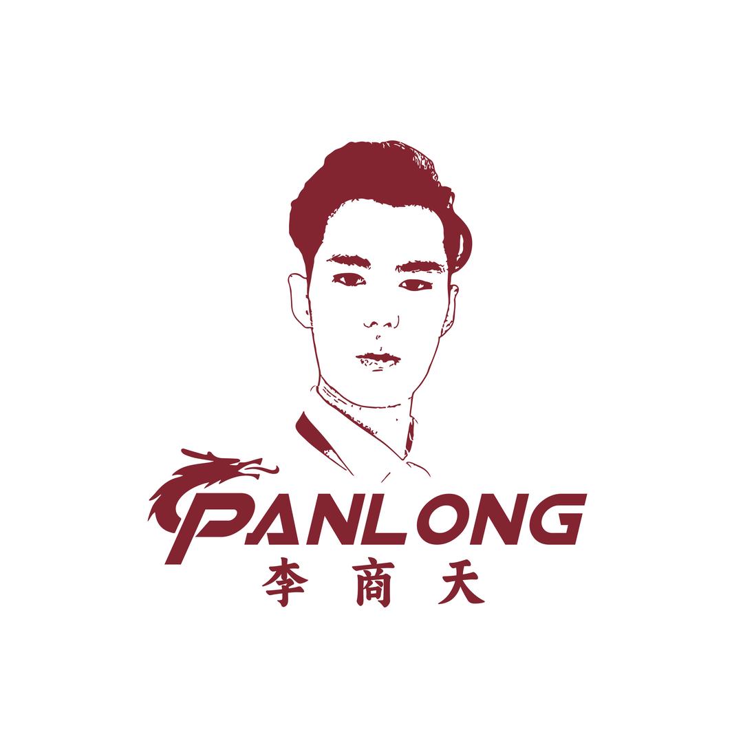 河南健英【panlong球杆】李商天