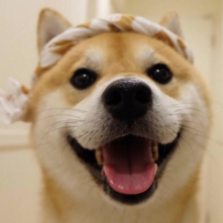清澈海洋