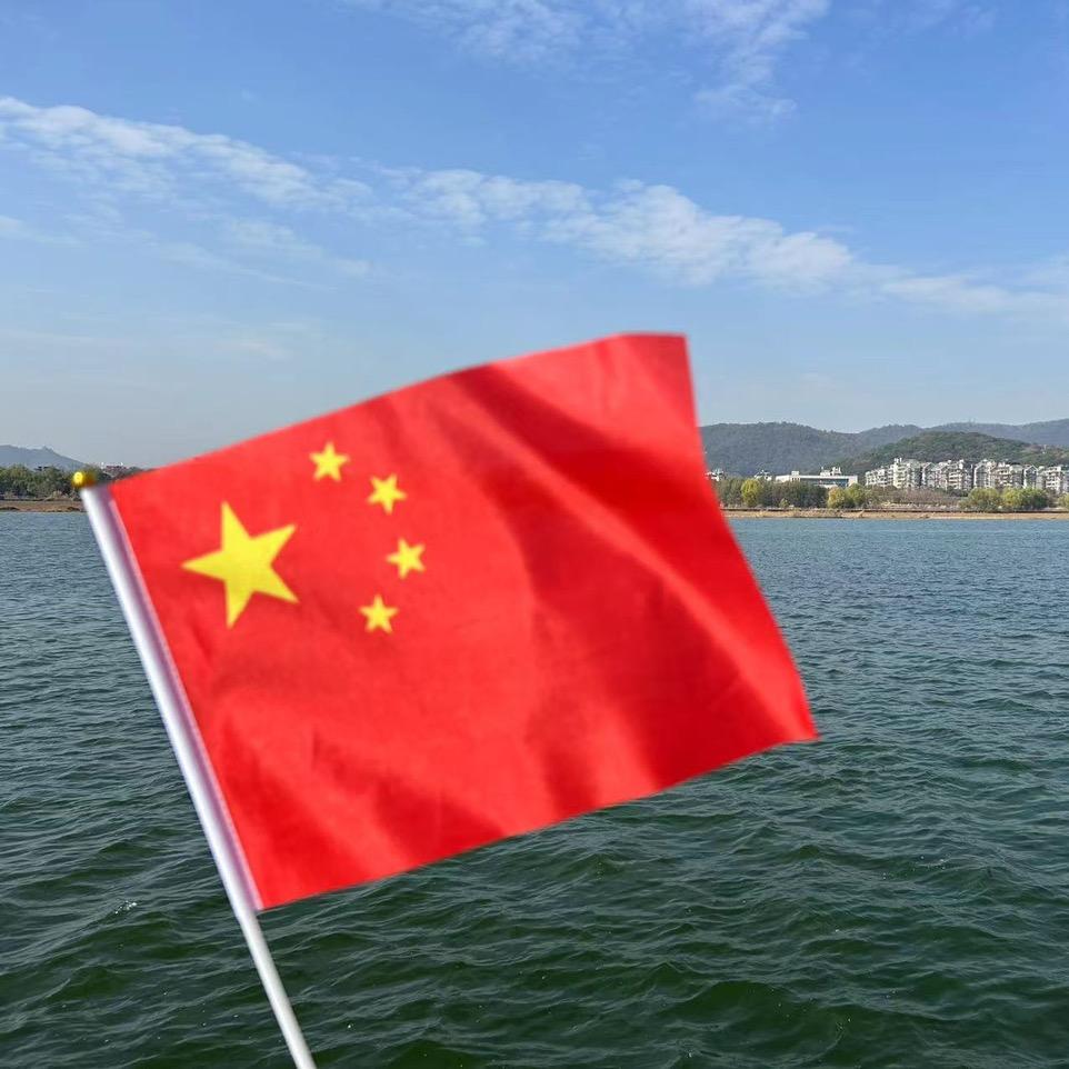 🌻向☀️花🌻