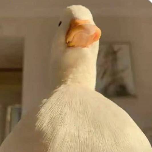 不吃可乐的汉堡