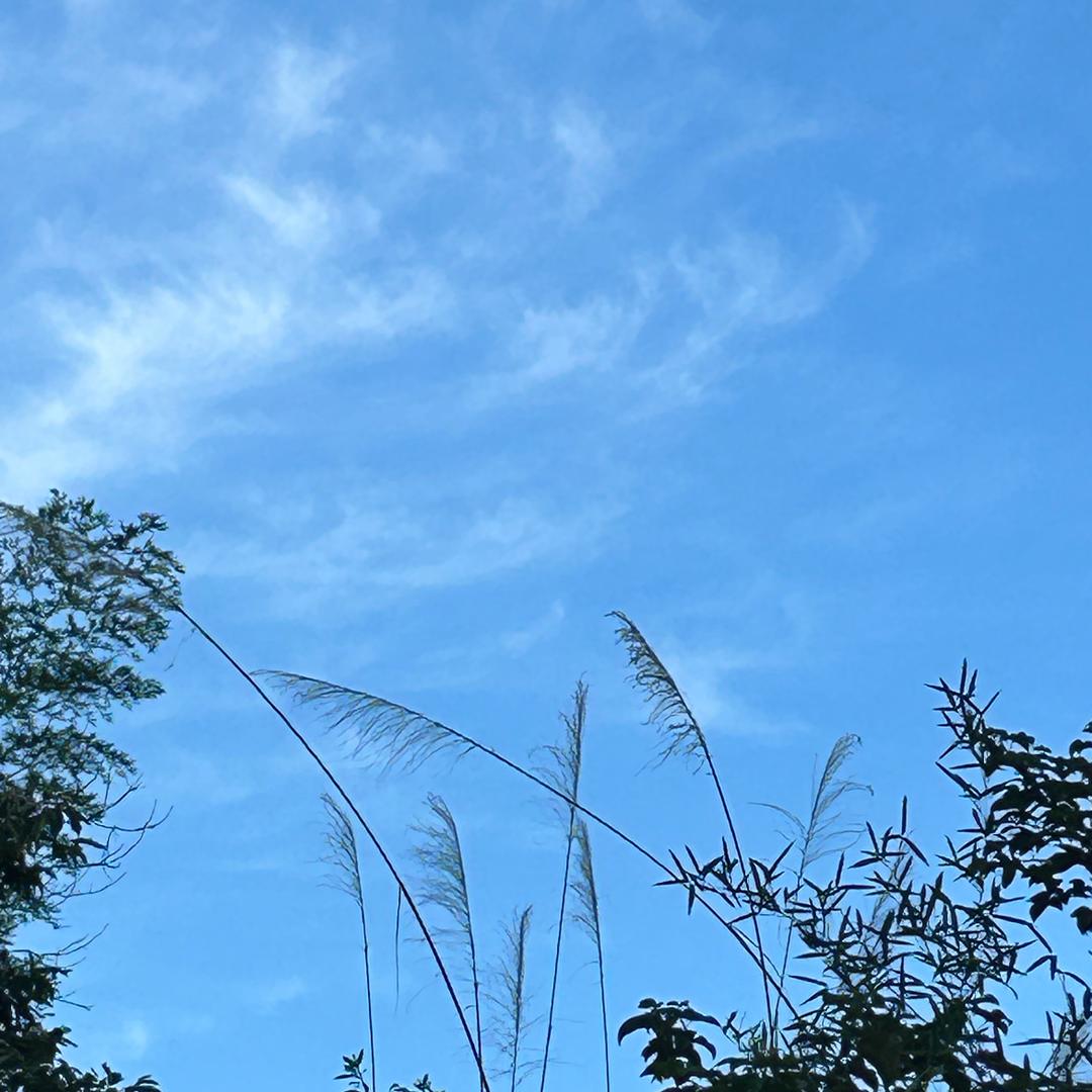 暧暧
