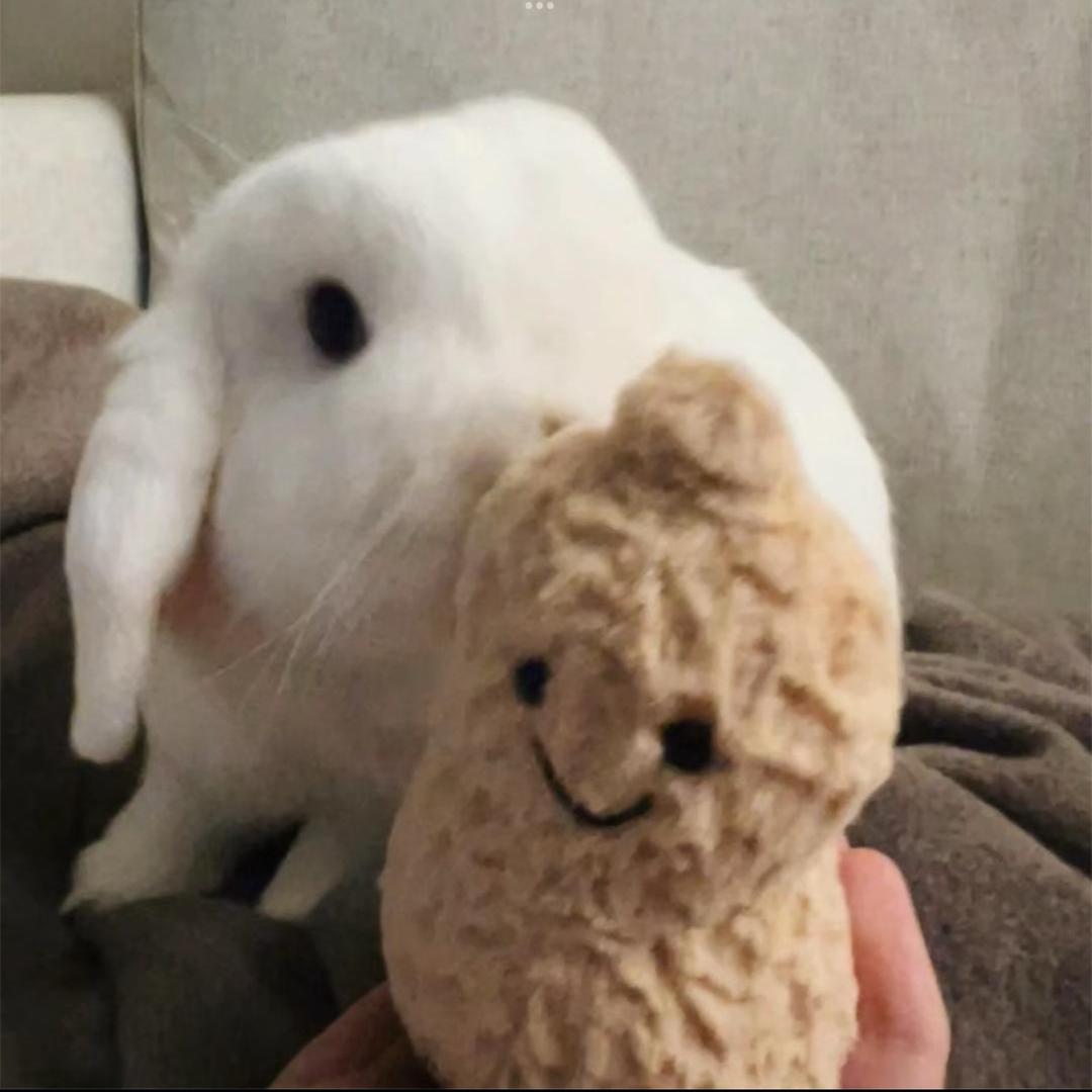 泥泥