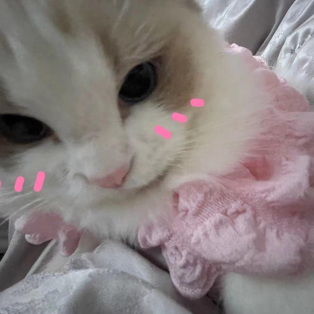 香菜公主
