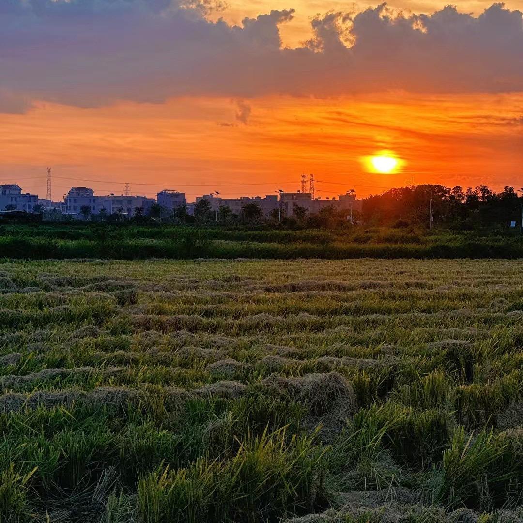 对方正在输入中