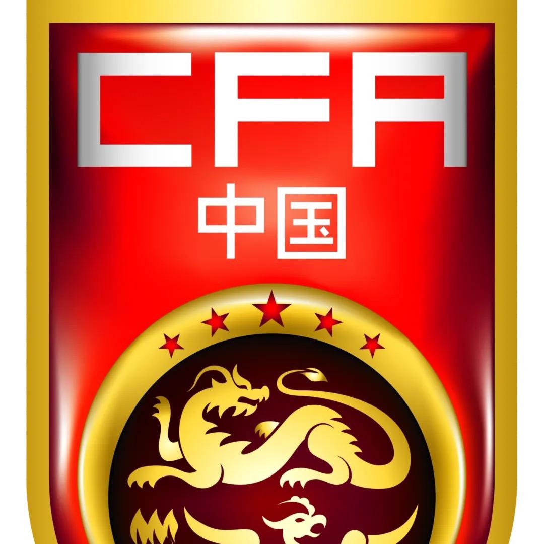 龙之队