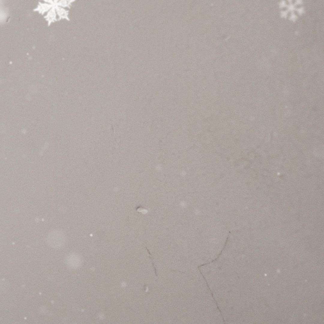 田雨鑫💕