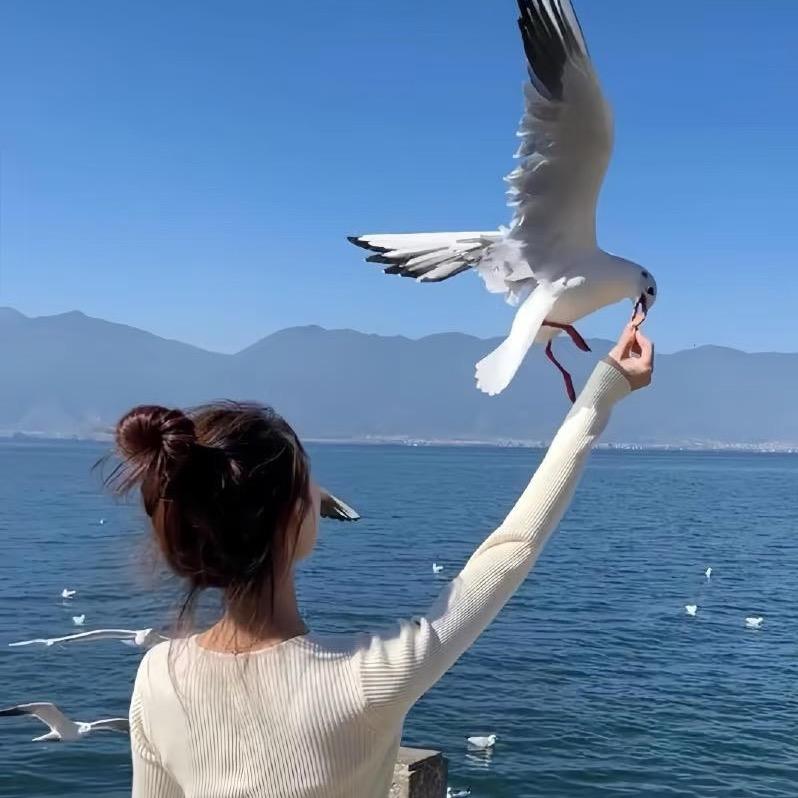 小媛子🍰