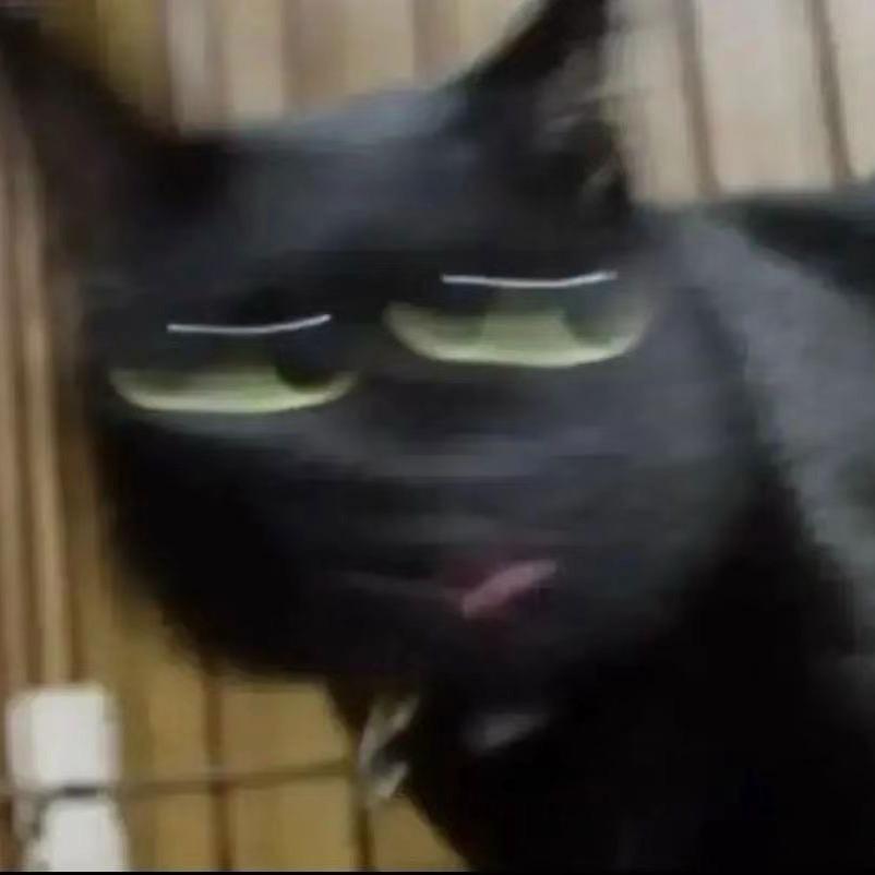 2zz1