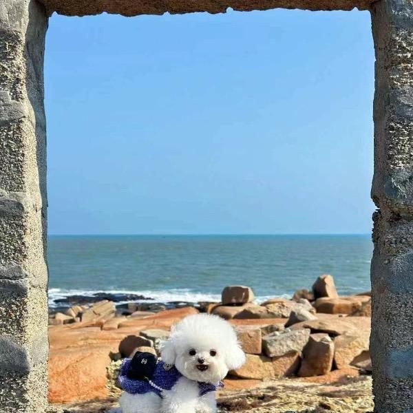 心💓语