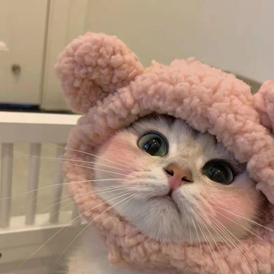 我家璇宝宝