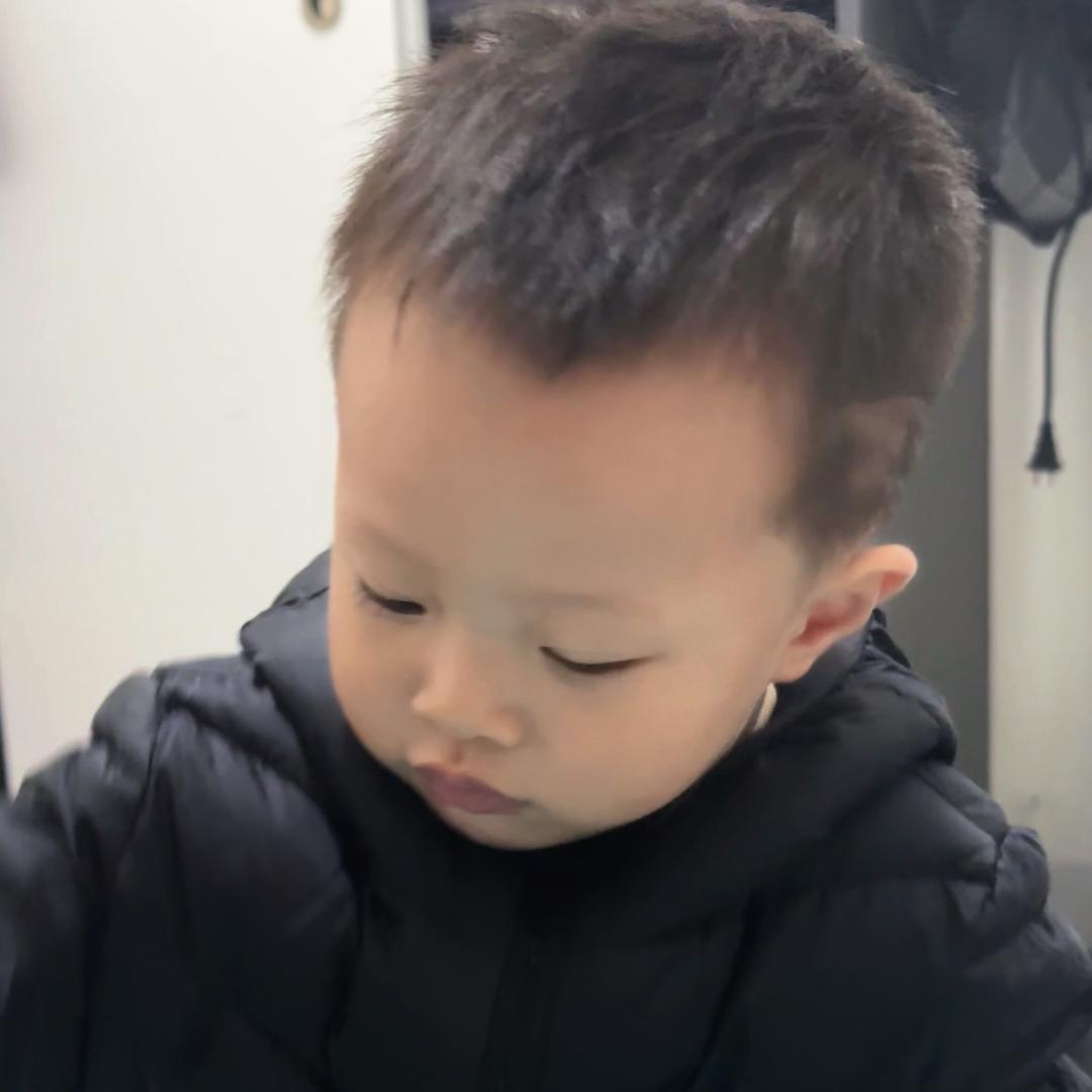 派派崽