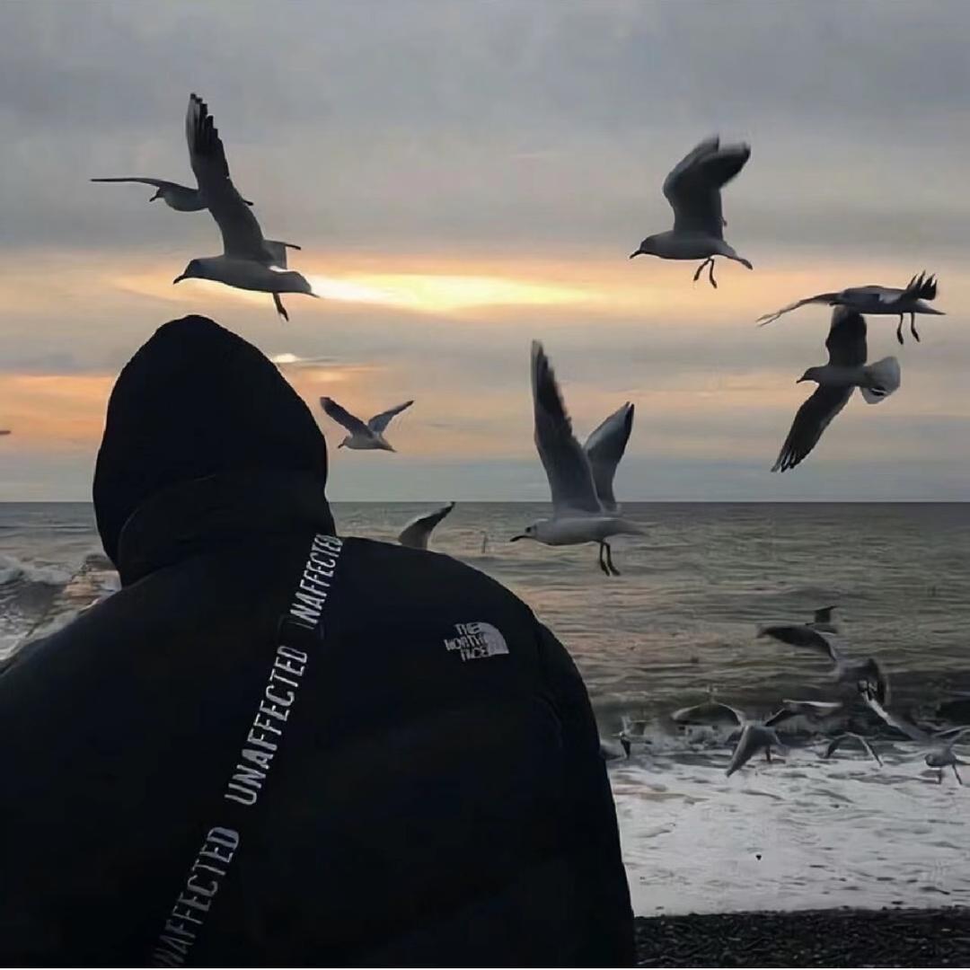 海龙♛说生活