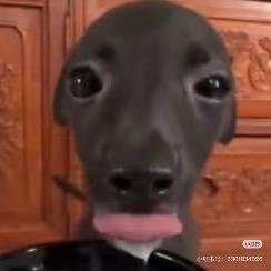 那日我看着这样的你