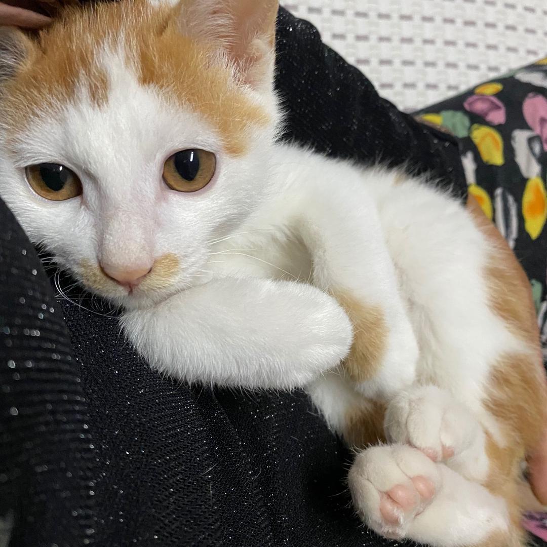 飞呀飞💕