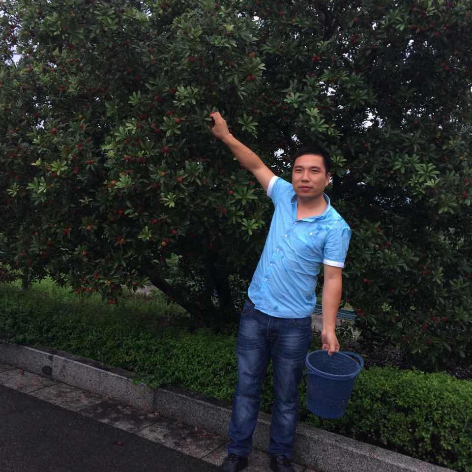 @黄伟杰