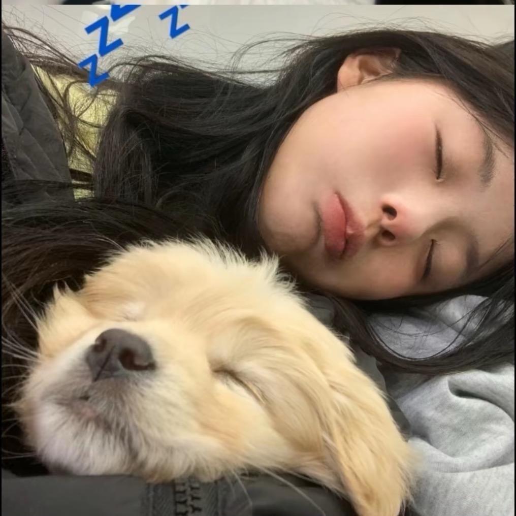 碱水🥯
