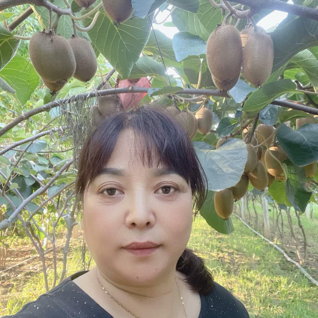 老孟姐