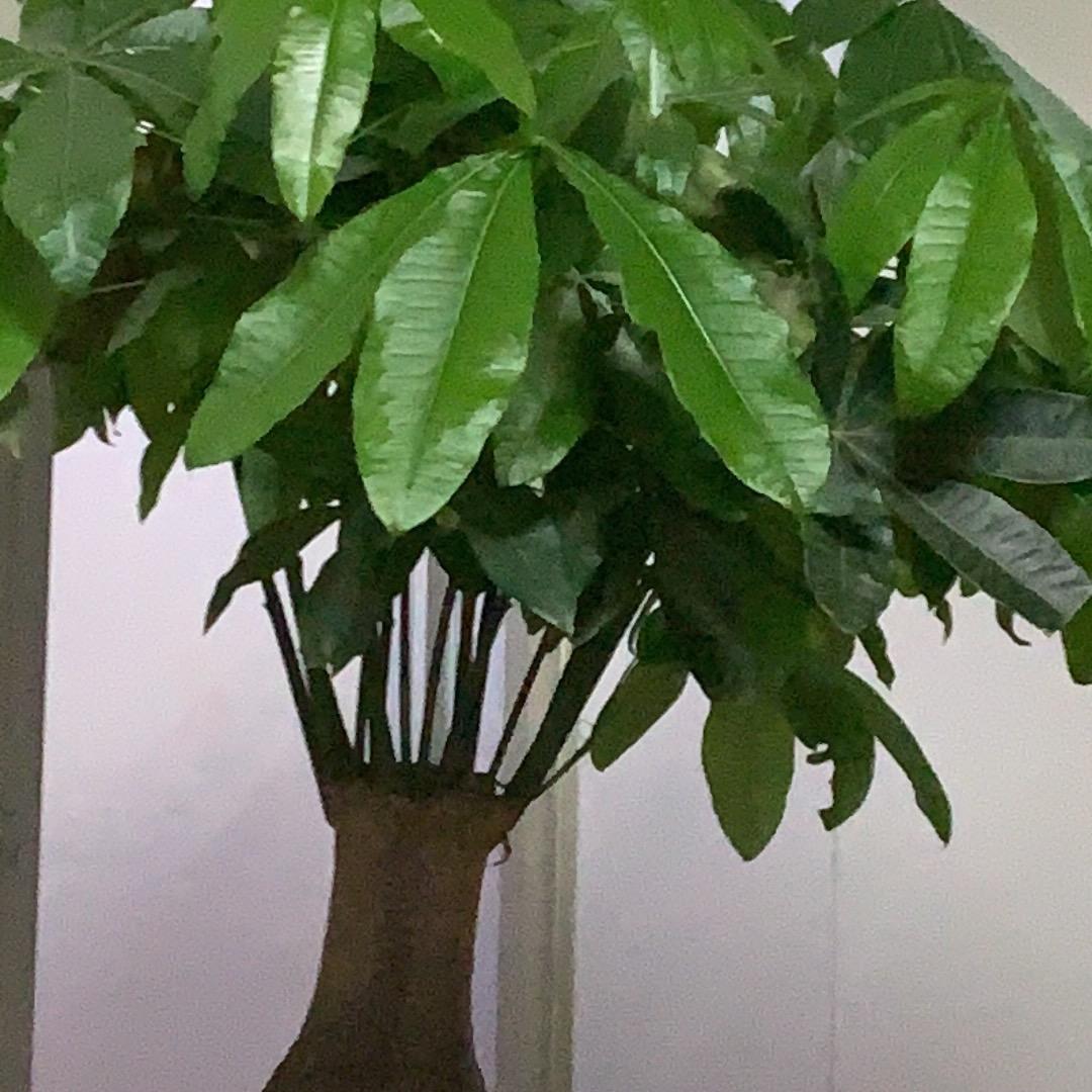 搬砖了喂
