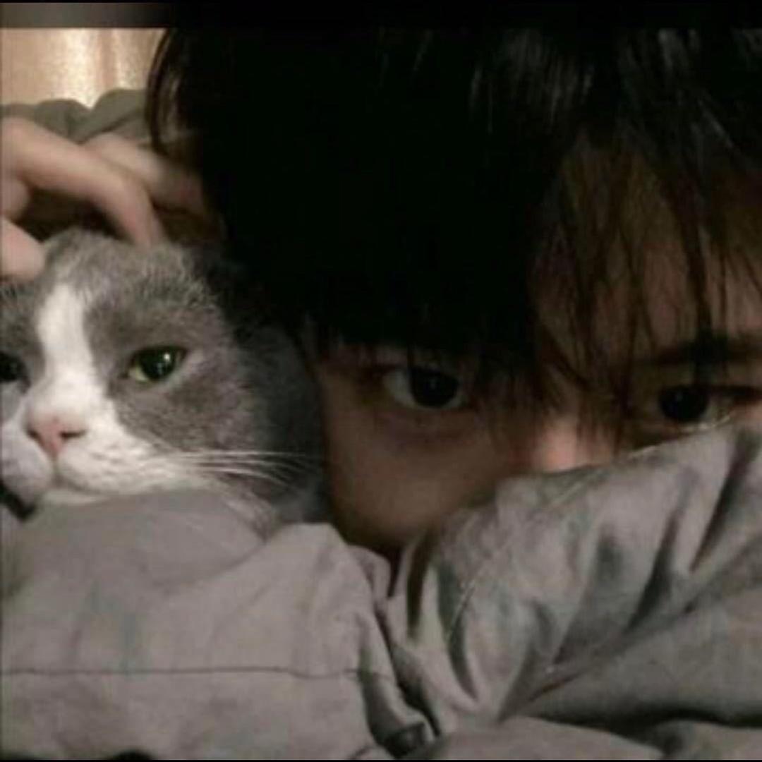 陈莫西.👀            🍗