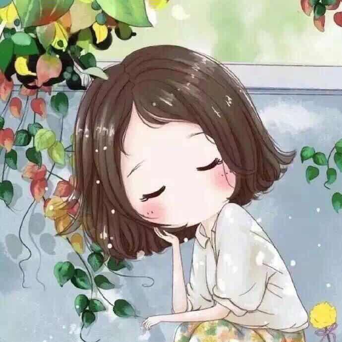 芦苇花开