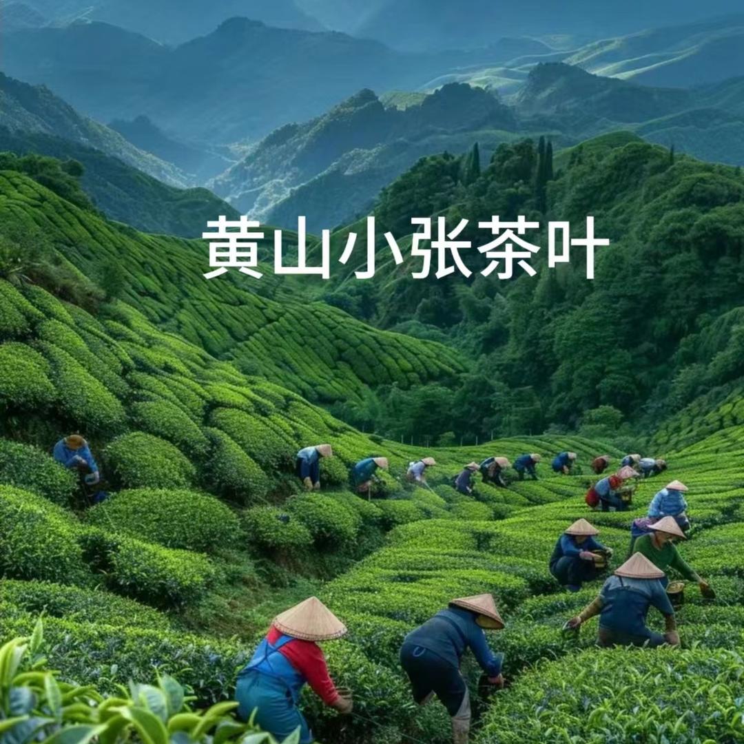 黄山小张茶叶
