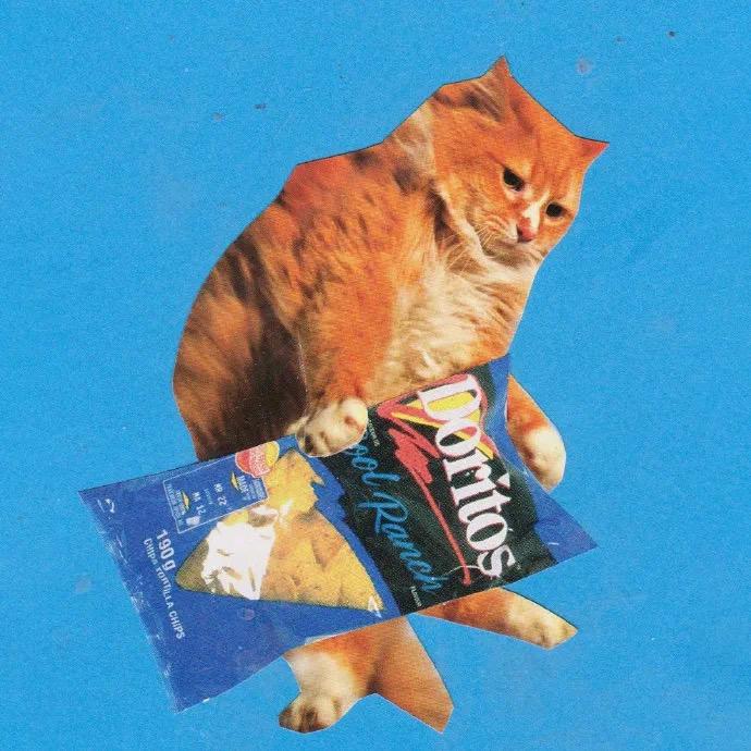 康康康康康康