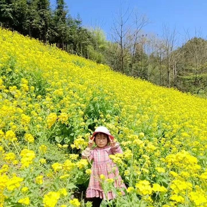 王仔QQ༂ཨོཾ༂糖🍬