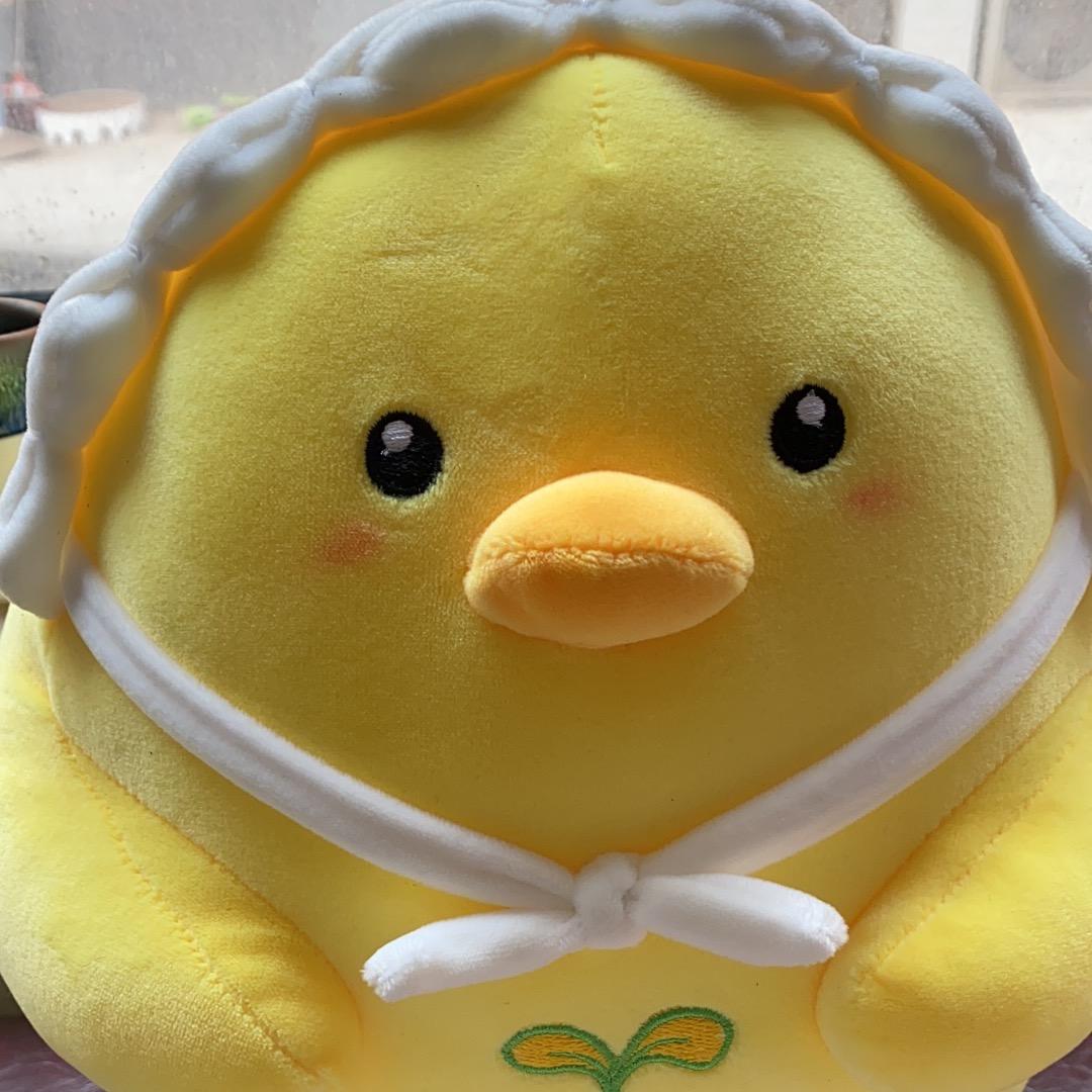 水豚嘟嘟毛绒玩具