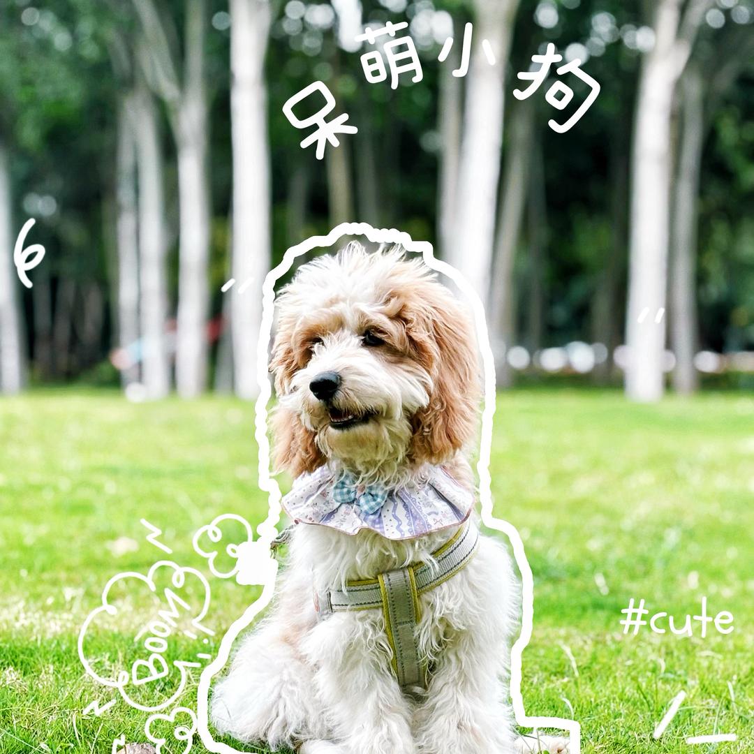 鲸落🏠